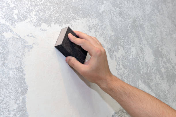 Best Crawl Space Mold Remediation  in Nyssa, OR