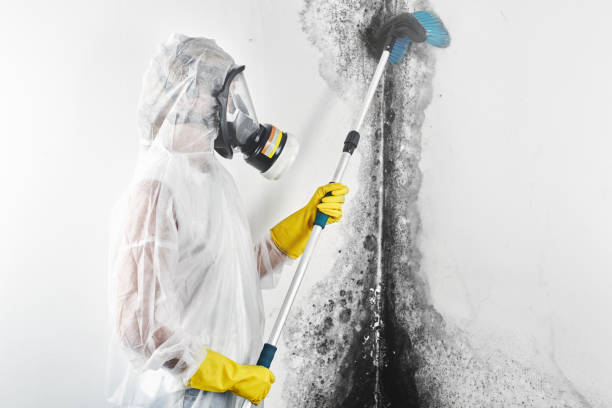 Best Real Estate Mold Inspection  in Nyssa, OR