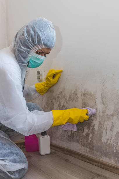 Best Emergency Mold Remediation  in Nyssa, OR