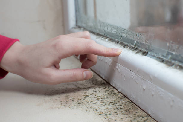 Best Biohazard Mold Removal  in Nyssa, OR