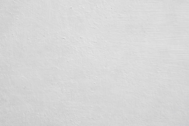 Best Commercial Mold Inspection  in Nyssa, OR