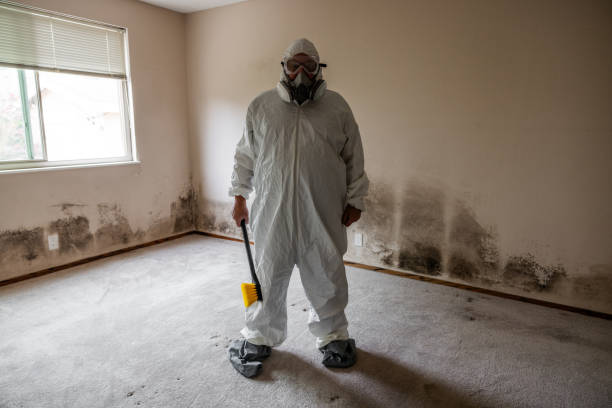 Best Mold Damage Restoration  in Nyssa, OR